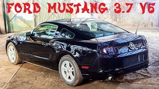 Ford Mustang 37 V6 305HP  Pierwsze wrażenia [upl. by Erodavlas]