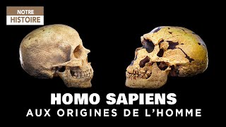 A la recherche de nos origines  Homo Sapiens ancêtre de lHomme  Documentaire Archéologie  CTB [upl. by Rihaz608]