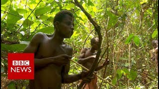 Congo The pygmies of Boyanga  BBC News [upl. by Filomena]