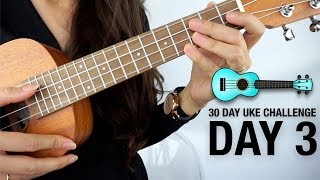 DAY 3  HOW TO PLAY THE CHROMATIC SCALE  30 DAY UKULELE CHALLENGE [upl. by Molli273]