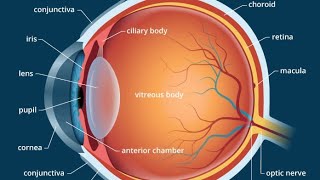 CLASS 10 Hypermetropia HyperopiaFarsightednessor Longsightedness [upl. by Aziram748]