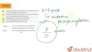 Assertion Both hexokinase and glucokinase require divalent cation Mg or Mn [upl. by Ris272]