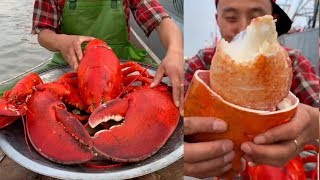 Fisherman Eat Giant Lobster Mukbang  Chinese Seafood Mukbang Show [upl. by Neela]