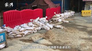 29 people stay at Wuhan Huanan Seafood Market for more than 2 months but not get infected [upl. by Beatrisa]