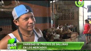 Variedad de precios de gallinas en los mercados [upl. by Bate]