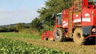 Grimme ReXor 620 aux betteraves sur le Chemin des Dames [upl. by Eanerb]