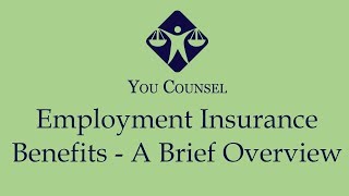 Employment Insurance Benefits  A Brief Overview [upl. by Wohlen]