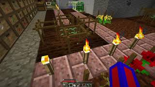 Modded Minecraft  Regrowth  Ep 2 [upl. by Bernice569]