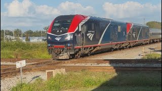 AMTRAK P40 The new Floridean [upl. by Cirtap]