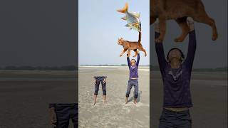 Matching twin brotherr flying body parts vs Eating candy egg amp Catching brown catt funny video😂😀 [upl. by Nerrag291]