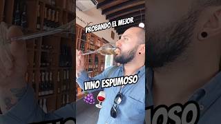 Probando el vino espumoso de Freixenet 🍷Queretaro Viñedos Vino Mexico Garrocho Vlog [upl. by Hines]