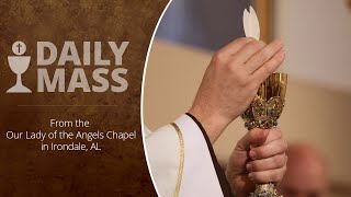 Catholic Daily Mass  Daily TV Mass  October 29 2024 [upl. by Damien229]