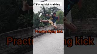 Flying kick training 💥🔥 martialarts youtubeshorts yt shorts [upl. by Coplin]