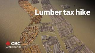 US nearly doubles duty on Canadian softwood lumber [upl. by Ellinet86]