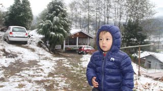 AniniSnowfallTakinhomestayArunachal pradesh [upl. by Zarla11]