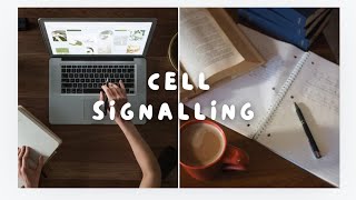 Cell Signalling Key Pathways Mechanisms and function study notes [upl. by Amitak494]