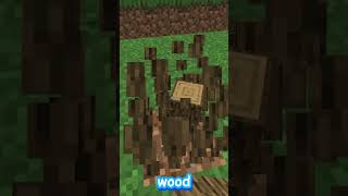 Minecraft But If You Subscribe I Die [upl. by Amick120]