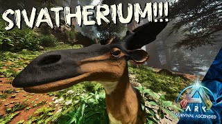 Its Time To Tame A Sivatherium  ARK Survival Ascended Full Playthrough  Ep16 [upl. by Demmer]