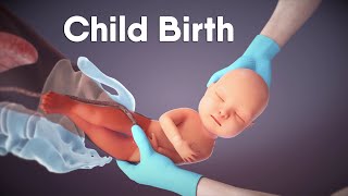 Labor And Delivery  Childbirth  Dandelion Medical Animation labor [upl. by Rodrich232]