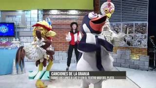 Ddiez  Musical de Canciones de la Granja El Pingüino y la Gallina [upl. by Yevad618]