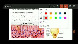 Anatomy of Glandular Epithelium  Cell junctions  fourth lecture [upl. by Neryt930]