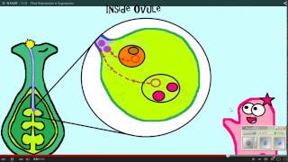 Plant Reproduction Amoeba Sisters WS 12 11 14 [upl. by Ross]