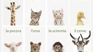 Impariamo delle parole nuove gli animali [upl. by Shirley143]