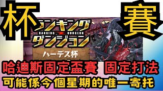 【パズドラ】【PAD】哈迪斯固定盃賽打法分享 可能係今星期嘅唯一寄托 一齊黎拎皇冠吧！！！ ランキングダンジョン ハーデス杯 立ち回 [upl. by Heinrich]