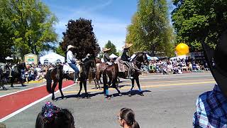 Wenatchee Wa apple blossom 2019 [upl. by Eiveneg168]