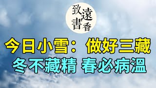 今日小雪：做好這三藏！冬不藏精，春必病溫。二十四節氣小雪—致遠書香 [upl. by Semaj385]