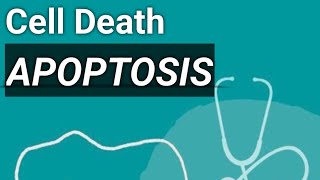 Apoptosis type of cell death robbins pathology [upl. by Muhammad]