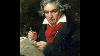 Beethoven 5th Symphony 1st movement Allegro Con Brío [upl. by Ramonda511]