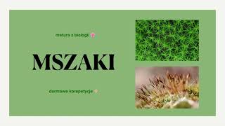 14 Mszaki  mchy budowa cykl rozwojowy 🌱 matura biologia rozszerzona [upl. by Aisel]