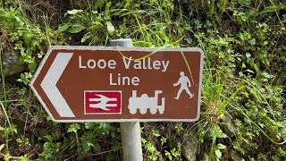 The Looe Valley Line Classic Scenic Eclectic Saturday 15th June 2024 [upl. by Amik396]