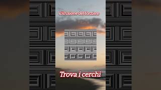 illusione del forziere trova i cerchi Gioco interattivo online gratis dintelligenza [upl. by Enilra288]