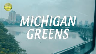 Michigan Greens  Gentle Waves of Chill Harmony  Part 86 [upl. by Dugas]