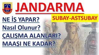 JANDARMA SUBAYASTSUBAY NASIL OLUNUR EĞİTİM SÜRELERİ MAAŞI ÇALIŞMA ALANLARI [upl. by Amandy]