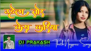 udela tor kesh Kariya  Theth Nagpuri song 2024  singer Suhana Devi  kesh Kariya  dj prakash [upl. by Aynnek]