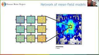 Brain Complexity and Consciousness [upl. by Jennie]