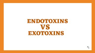 Endotoxins VS Exotoxins [upl. by Ilysa461]