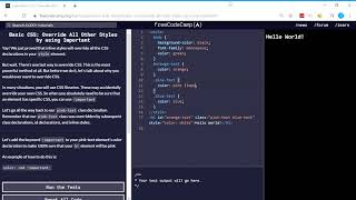 Basic CSS 3144  Override All Other Styles by using Important  freeCodeCamp [upl. by Yngiram635]