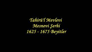 Tahirül Mevlevi Mesnevi Şerhi 1625  1675 Beyitler [upl. by Berkley740]