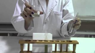 CHEMISTRY Cation Test for Fe2 using NaOH and NH4OH [upl. by Bradley]