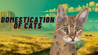 How did we domesticate cats [upl. by Hgielrac]