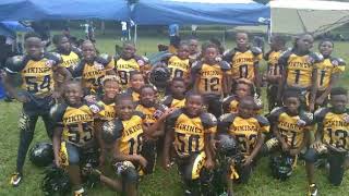 Lauderdale Lakes Vikings [upl. by Airetnohs162]