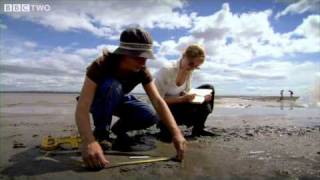 8000 Year Old Footprints  A History of Ancient Britain  Ep1  Preview  BBC Two [upl. by Ahsenahs]