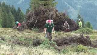 Freiwilligenarbeit Tirol Wohnen und Arbeiten auf der Alm in Österreich [upl. by Nathalia725]