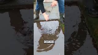 También hay sensores instalados en los desagües😮 shortsvideo [upl. by Ced]