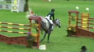 ♂ Untouchable M jumping stallion KWPN by Quick Star [upl. by Kaleena988]