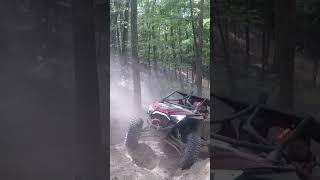 Dont Crash Your Turbo RZR into the Tree  offroad humor [upl. by Xylon]